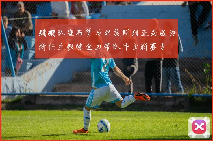 鹈鹕队宣布贾马尔莫斯利正式成为新任主教练全力带队冲击新赛季